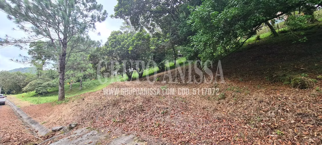 Oportunidad! Se Vende Terreno en Zona Alta de Altos del Maria - Imagen 3
