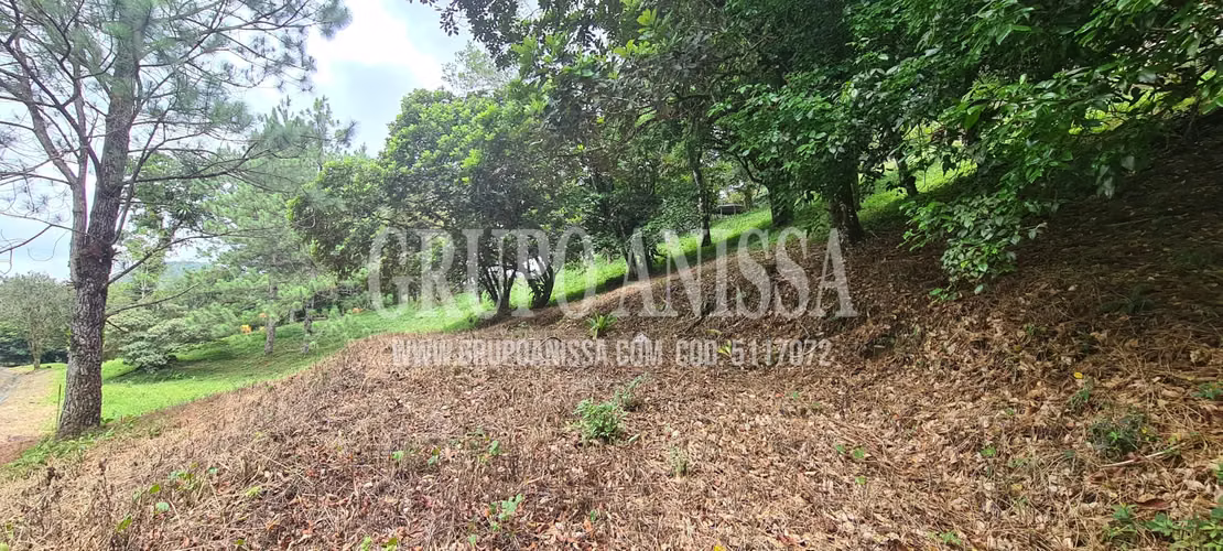 Oportunidad! Se Vende Terreno en Zona Alta de Altos del Maria - Imagen 4