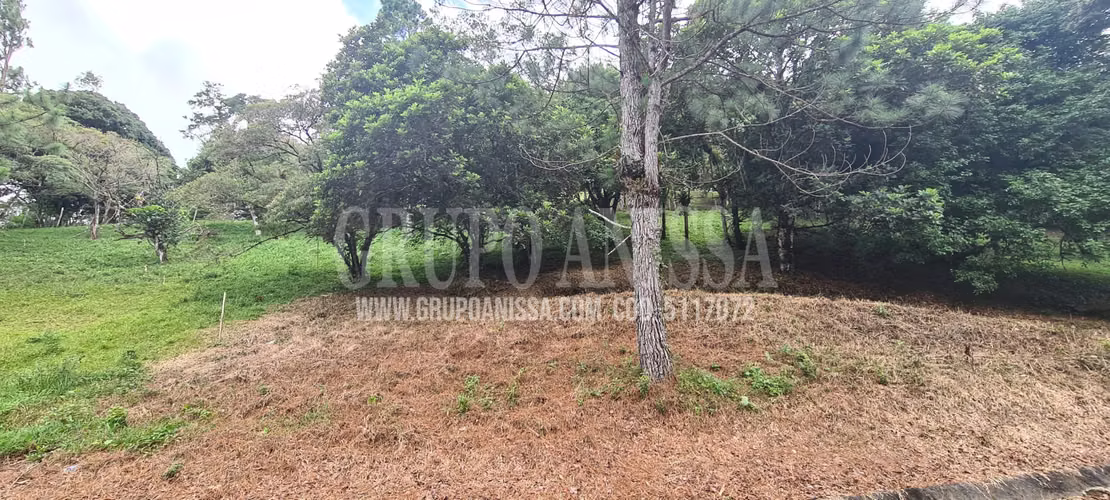 Oportunidad! Se Vende Terreno en Zona Alta de Altos del Maria - Imagen 2