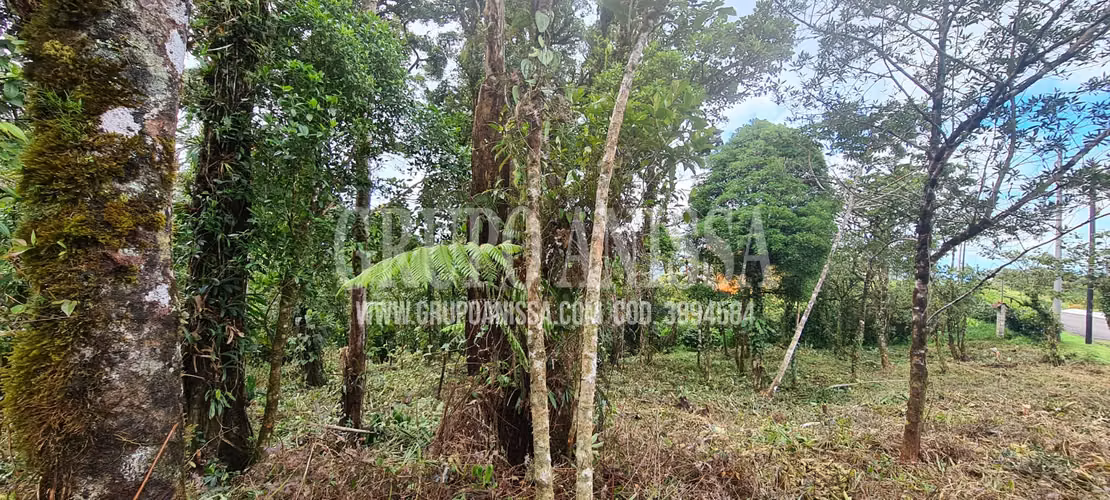 Oportunidad! Se Vende Terreno en la Rioca Altos del Maria - Imagen 2