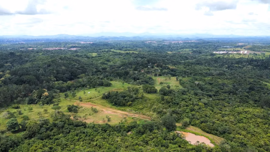 FINCA 150 HECTÁREAS | LA CHORRERA | PARA DESARROLLO RESIDENCIAL