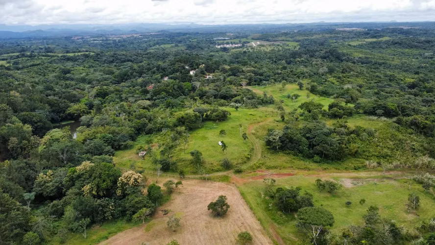 FINCA 150 HECTÁREAS | LA CHORRERA | PARA DESARROLLO RESIDENCIAL