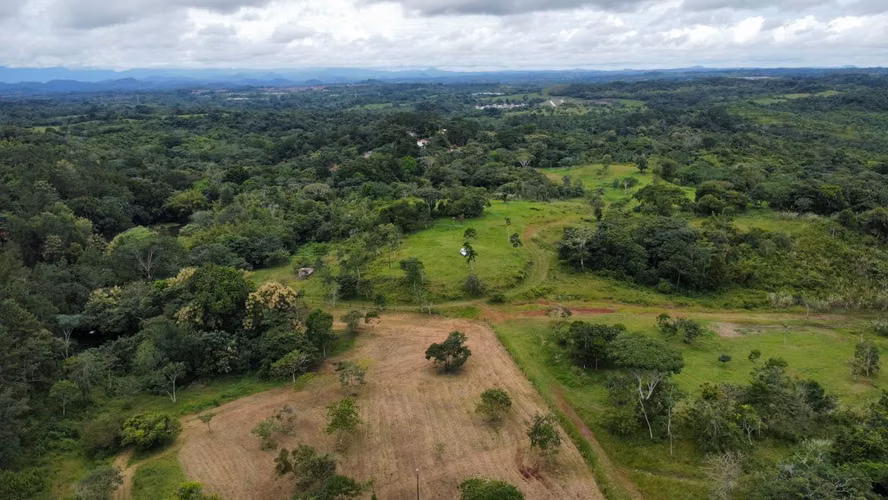 FINCA 150 HECTÁREAS | LA CHORRERA | PARA DESARROLLO RESIDENCIAL