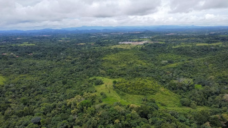 FINCA 150 HECTÁREAS | LA CHORRERA | PARA DESARROLLO RESIDENCIAL