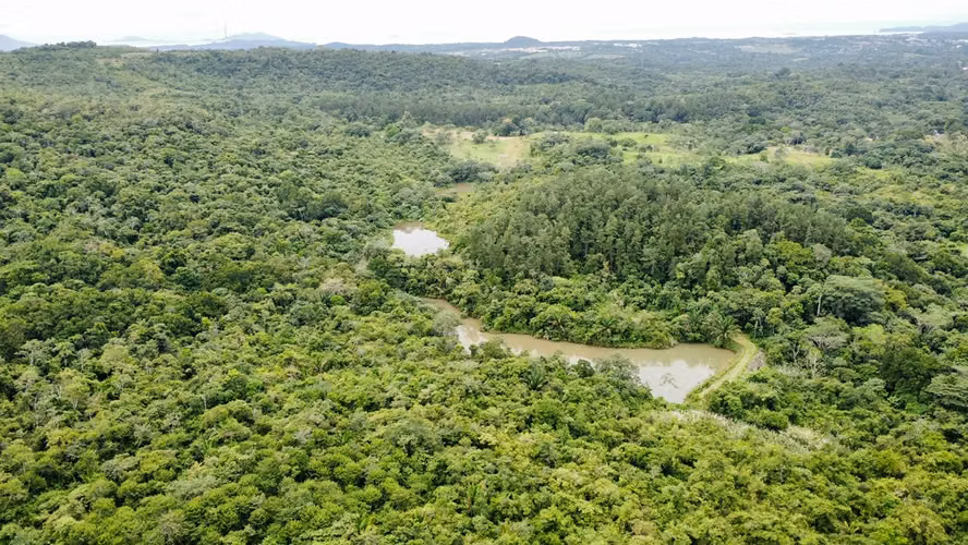 FINCA 150 HECTÁREAS | LA CHORRERA | PARA DESARROLLO RESIDENCIAL