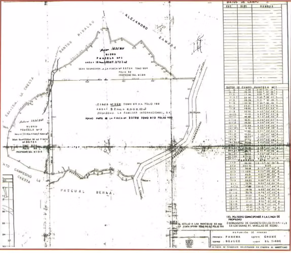 Venta Finca en Vía Interamericana, Bejuco, Panamá Oeste, 82has