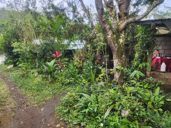 VENDO VIVIENDA EN CHIRIQUÍ -