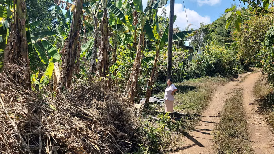 VENDO VIVIENDA EN CHIRIQUÍ -