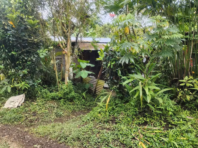VENDO VIVIENDA EN CHIRIQUÍ -