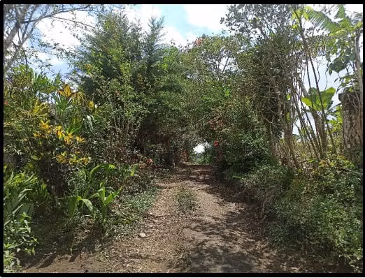 VENDO VIVIENDA EN CHIRIQUÍ -