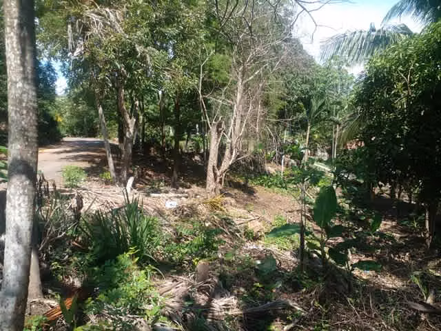 VENDO FINCA EN SAJALICE CHAME