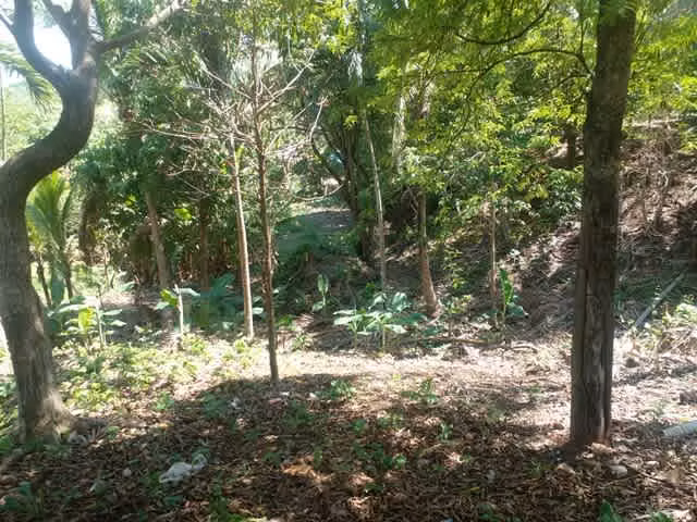 VENDO FINCA EN SAJALICE CHAME