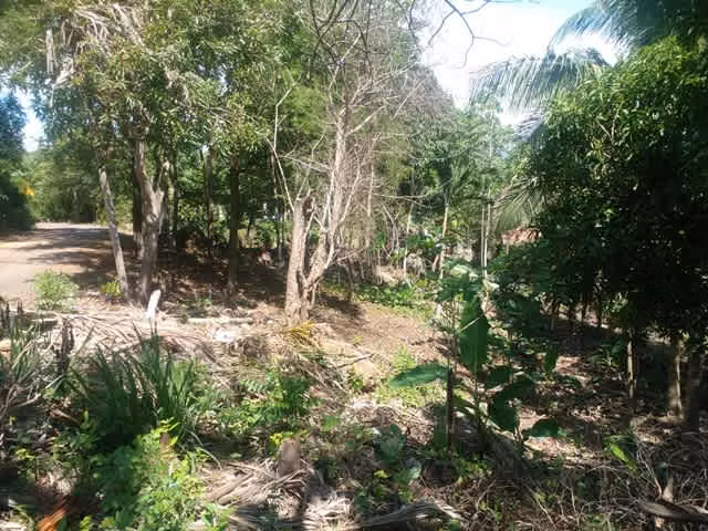 VENDO FINCA EN SAJALICE CHAME
