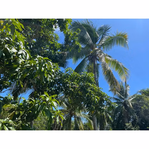 Venta de Casa de playa en Santa Clara