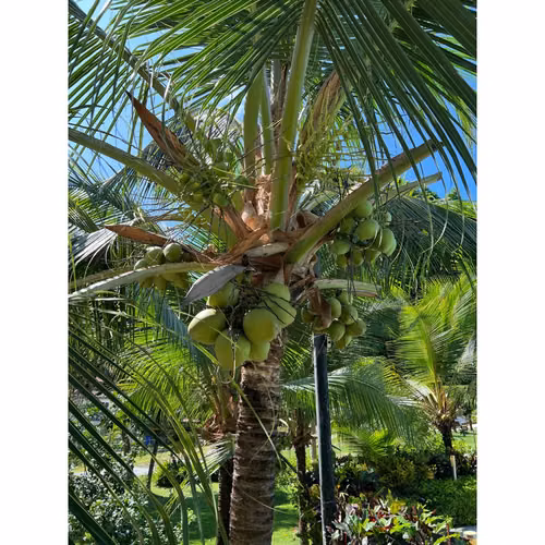 Venta de Casa de playa en Santa Clara