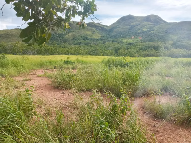 Venta de Finca en Coclé Natá Los Corralitos