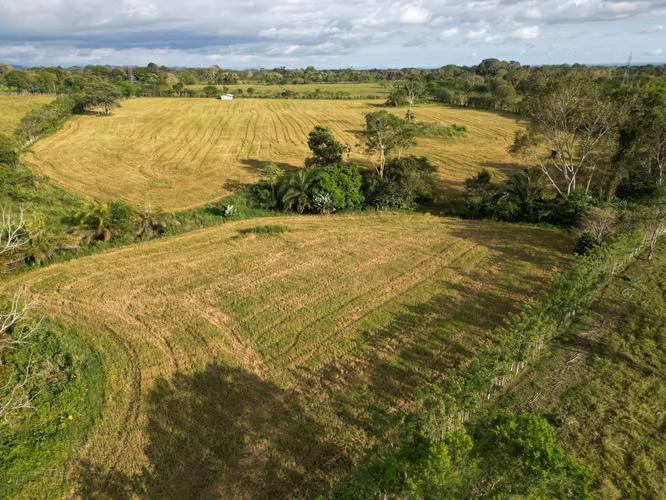 Finca en Chiriqui, Bugaba, 6.1 hectáreas en La Estrella