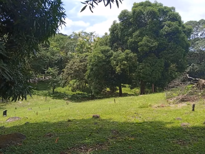 Juan Díaz – Altos de Pedregal