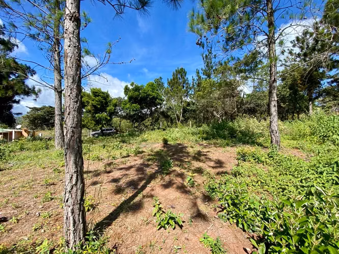 CHICÁ CAMPANA TERRENO DE MONTAÑA EN VENTA