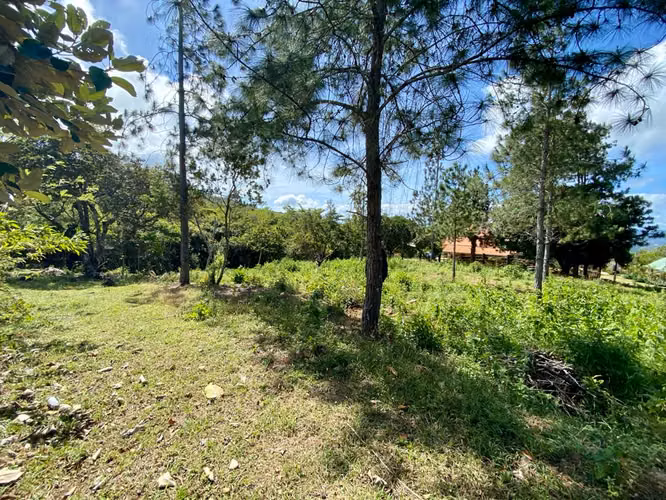 CHICÁ CAMPANA TERRENO DE MONTAÑA EN VENTA