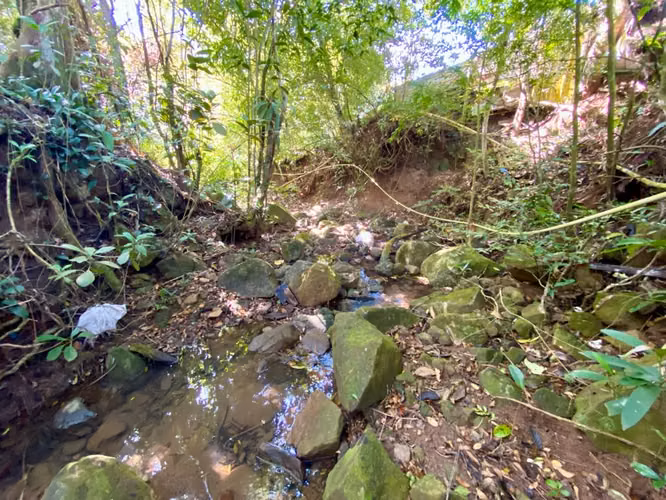 CHICÁ CAMPANA TERRENO DE MONTAÑA EN VENTA
