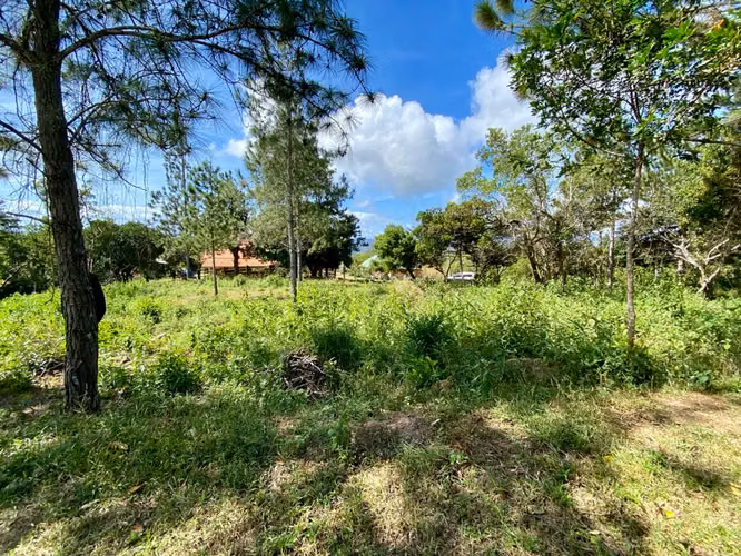 CHICÁ CAMPANA TERRENO DE MONTAÑA EN VENTA