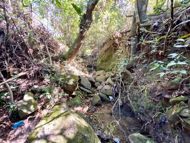 CHICÁ CAMPANA TERRENO DE MONTAÑA EN VENTA