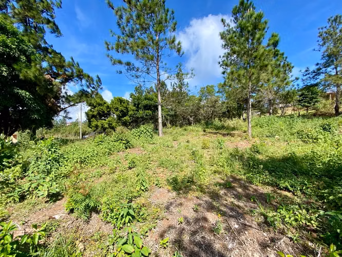 CHICÁ CAMPANA TERRENO DE MONTAÑA EN VENTA