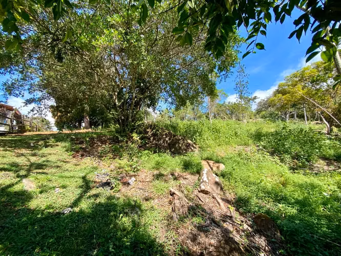 CHICÁ CAMPANA TERRENO DE MONTAÑA EN VENTA