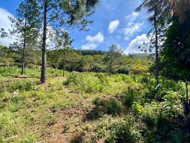 CHICÁ CAMPANA TERRENO DE MONTAÑA EN VENTA