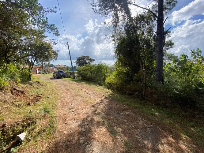 CHICÁ CAMPANA | TERRENO DE MONTAÑA 2