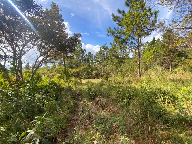 CHICÁ CAMPANA | TERRENO DE MONTAÑA 2