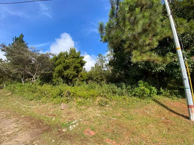 CHICÁ CAMPANA | TERRENO DE MONTAÑA 2