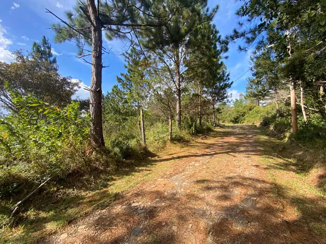 CHICÁ CAMPANA | TERRENO DE MONTAÑA 2