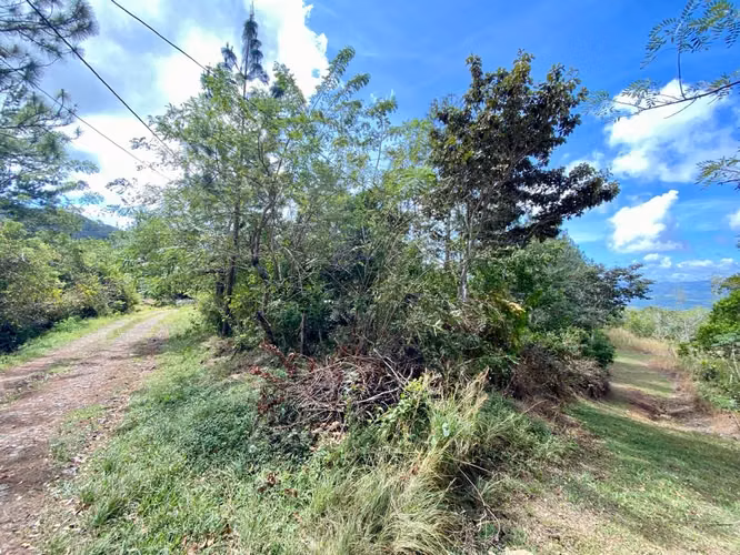 CHICÁ CAMPANA | TERRENO DE MONTAÑA 2