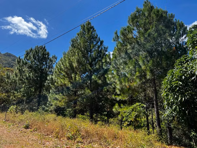 ALTOS DEL MARÍA | TERRENO EN VENTA 2