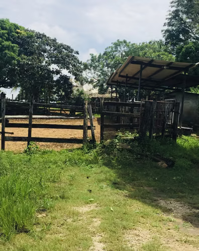 FINCA GANADERA O CULTIVABLE EN COLON - EN COSTA ABAJO DE COLON - Imagen 7