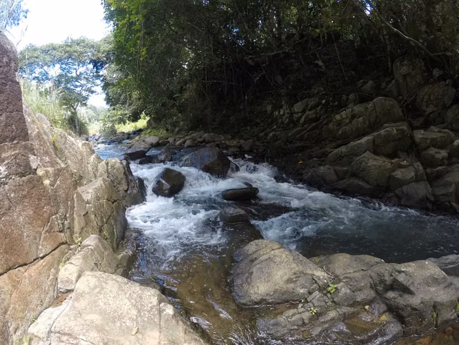 Venta de Finca en Chepo, Pacora