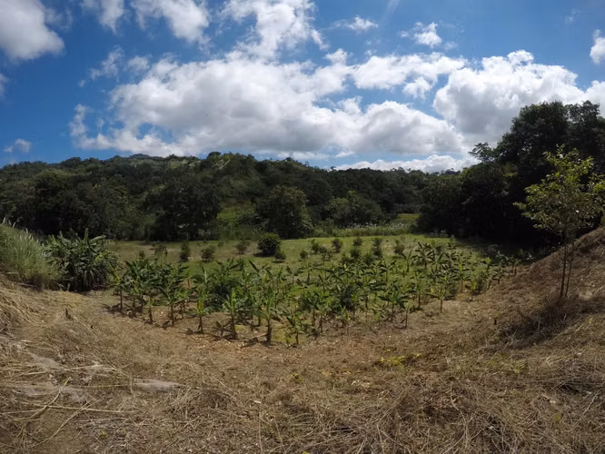 Venta de Finca en Chepo, Pacora