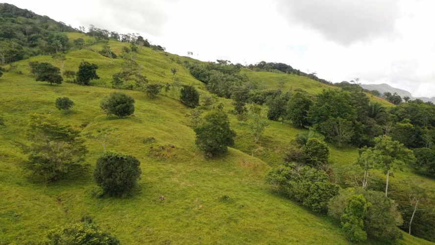Venta de Finca en Penonomé, Coclé, Toabré