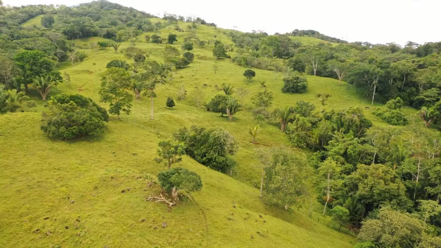 Venta de Finca en Penonomé, Coclé, Toabré