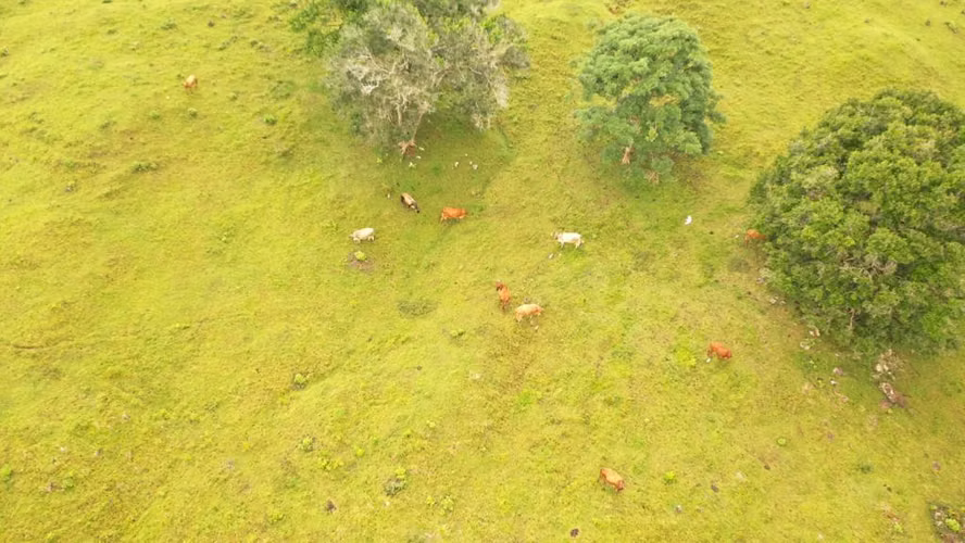 Venta de Finca en Penonomé, Coclé, Toabré