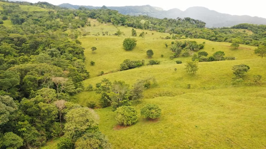 Venta de Finca en Penonomé, Coclé, Toabré