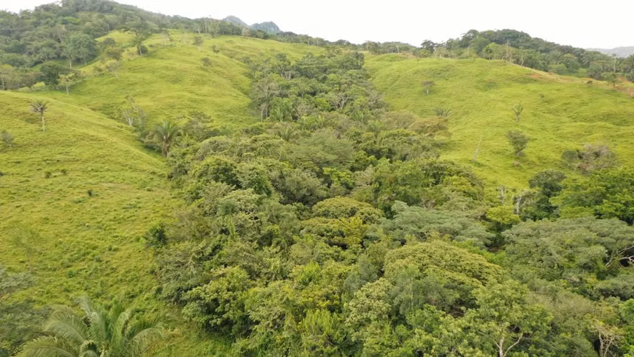 Venta de Finca en Penonomé, Coclé, Toabré