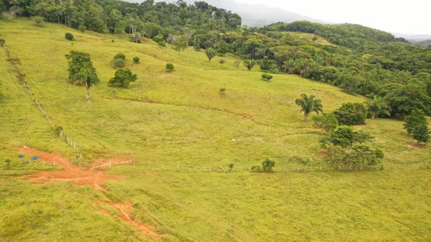 Venta de Finca en Penonomé, Coclé, Toabré