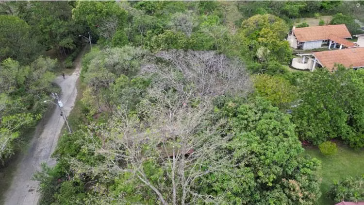 Venta de Terreno en El Valle de Antón, 4,711m2