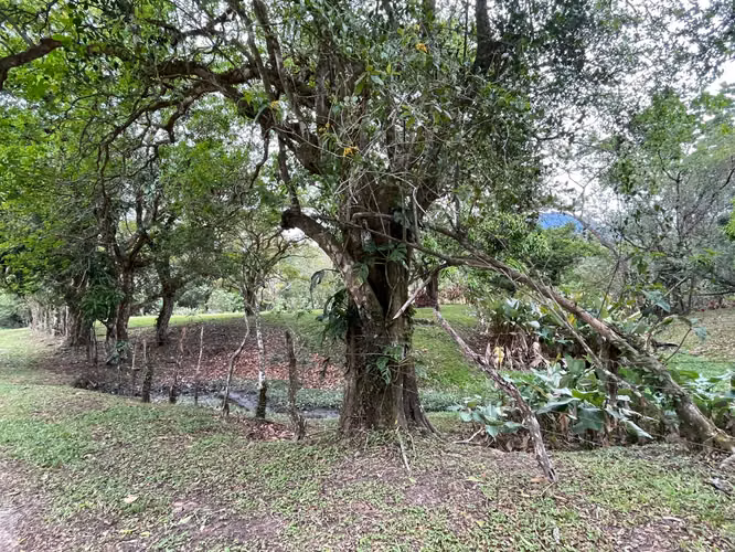 Venta de Terreno en El Valle de Antón, 4,711m2