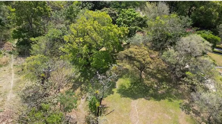 Venta de Terreno en El Valle de Antón, 4,711m2