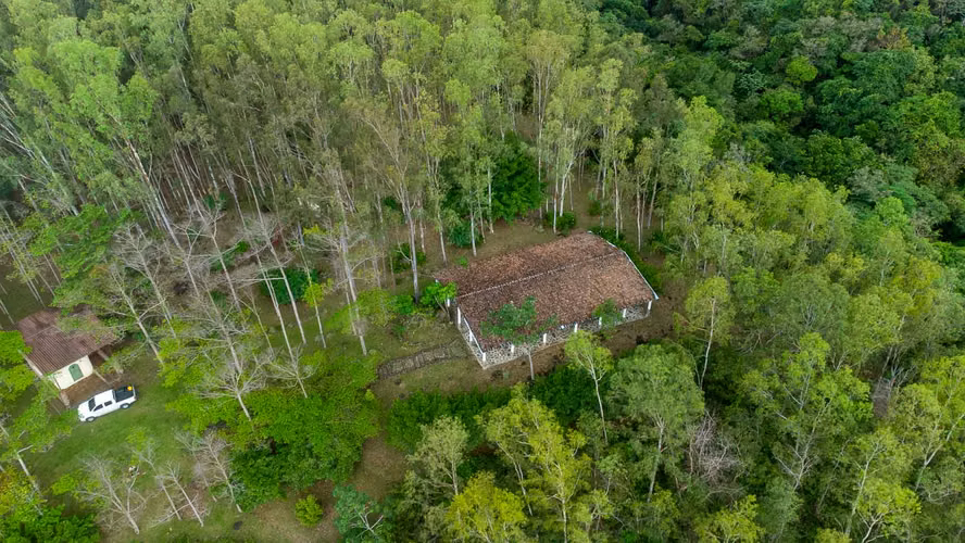 32 Hectáreas reforestadas con Cascada y casas en el bosque