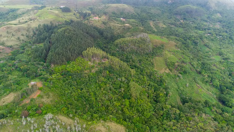 32 Hectáreas reforestadas con Cascada y casas en el bosque
